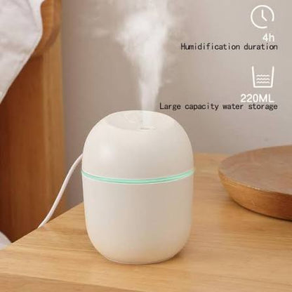 Mini Air Humidifier – Cute Portable USB Room Humidifier